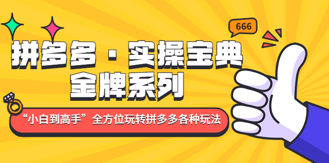 拼多多·实操宝典：金牌系列“小白到高手”带你全方位玩转拼多多各种玩法-启航188资源站