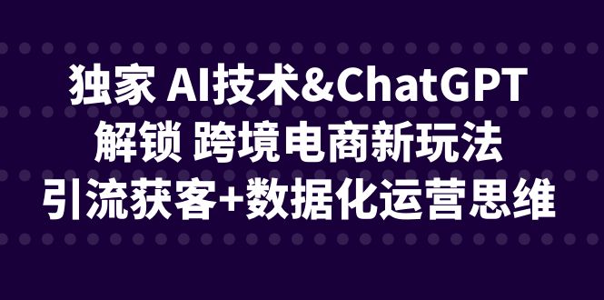 独家 AI技术&ChatGPT解锁 跨境电商新玩法，引流获客+数据化运营思维-启航188资源站