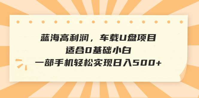 蓝海高利润，车载U盘项目，适合0基础小白，一部手机轻松实现日入500+-启航188资源站