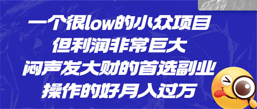 一个很low的小众项目，但利润非常巨大，闷声发大财的首选副业，月入过万-启航188资源站