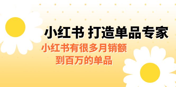 某公众号付费文章《小红书 打造单品专家》小红书有很多月销额到百万的单品-启航188资源站