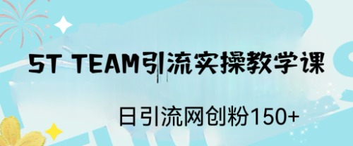 ST TEAM引流实操课，日引流网创粉100+-启航188资源站