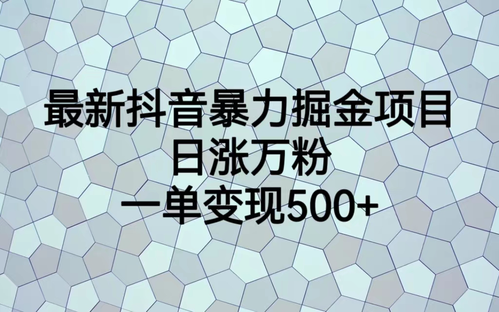 最新抖音暴力掘金项目，日涨万粉，一单变现500+-启航188资源站