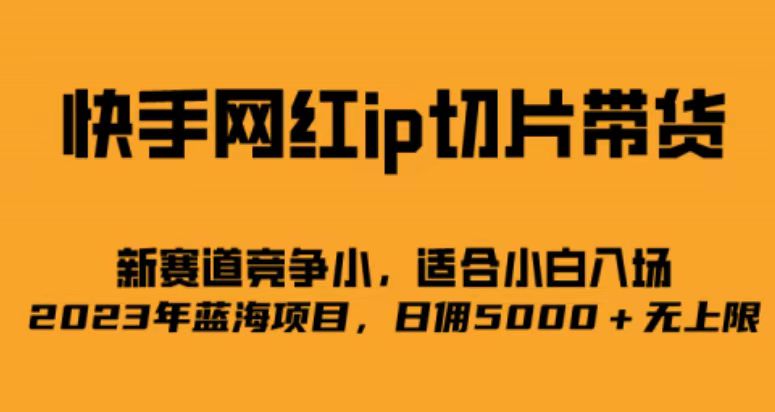 快手网红ip切片新赛道，竞争小事，适合小白 2023蓝海项目-启航188资源站