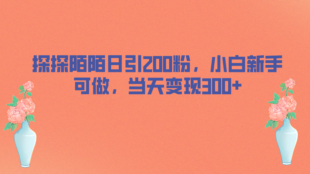 探探陌陌日引200粉，小白新手可做，当天就能变现300+-启航188资源站