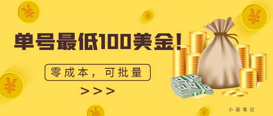 单号最低100美金，零成本，小白无脑操作。可复制，可扩大。-启航188资源站