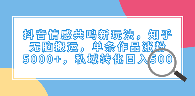 抖音情感共鸣新玩法，知乎无脑搬运，单条作品涨粉5000+，私域转化日入500-启航188资源站