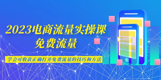 2023电商流量实操课-免费流量，学会可收获正确打开免费流量的技巧和方法-启航188资源站