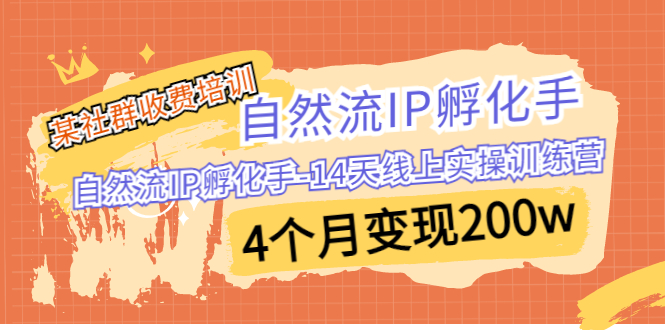 某社群收费培训：自然流IP 孵化手-14天线上实操训练营 4个月变现200w-启航188资源站