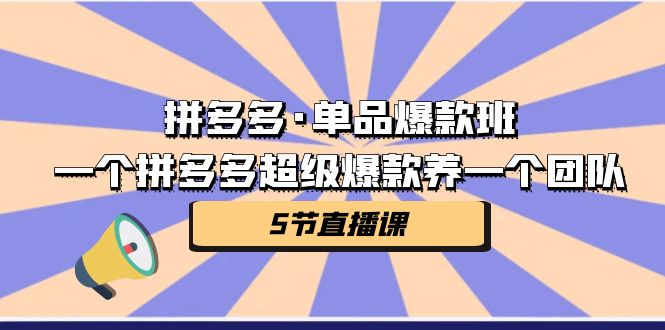 拼多多·单品爆款班，一个拼多多超级爆款养一个团队（5节直播课）-启航188资源站