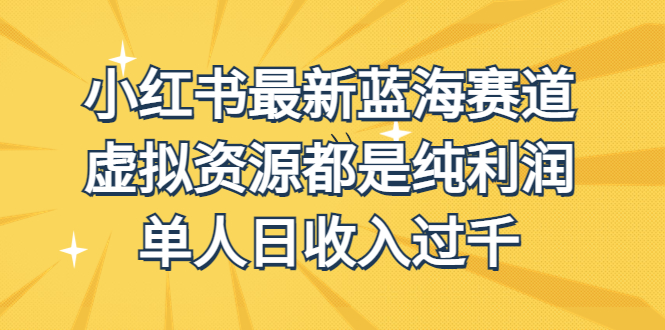 外面收费1980的小红书最新蓝海赛道，虚拟资源都是纯利润，单人日收入过千-启航188资源站