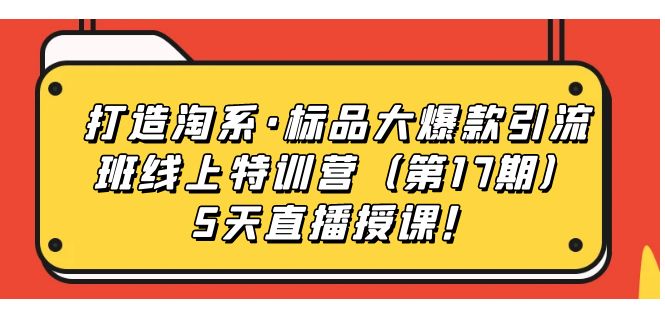 打造淘系·标品大爆款引流班线上特训营（第17期）5天直播授课！-启航188资源站