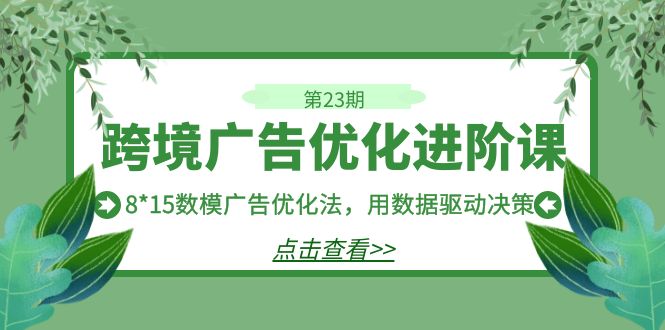 跨境广告·优化进阶课·第23期，8*15数模广告优化法，用数据驱动决策-启航188资源站