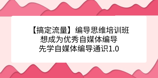 【搞定流量】编导思维培训班，想成为优秀自媒体编导先学自媒体编导通识1.0-启航188资源站