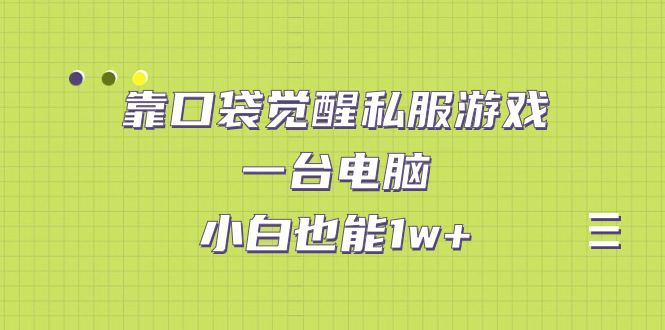 靠口袋觉醒私服游戏，一台电脑，小白也能1w+（教程+工具+资料）-启航188资源站