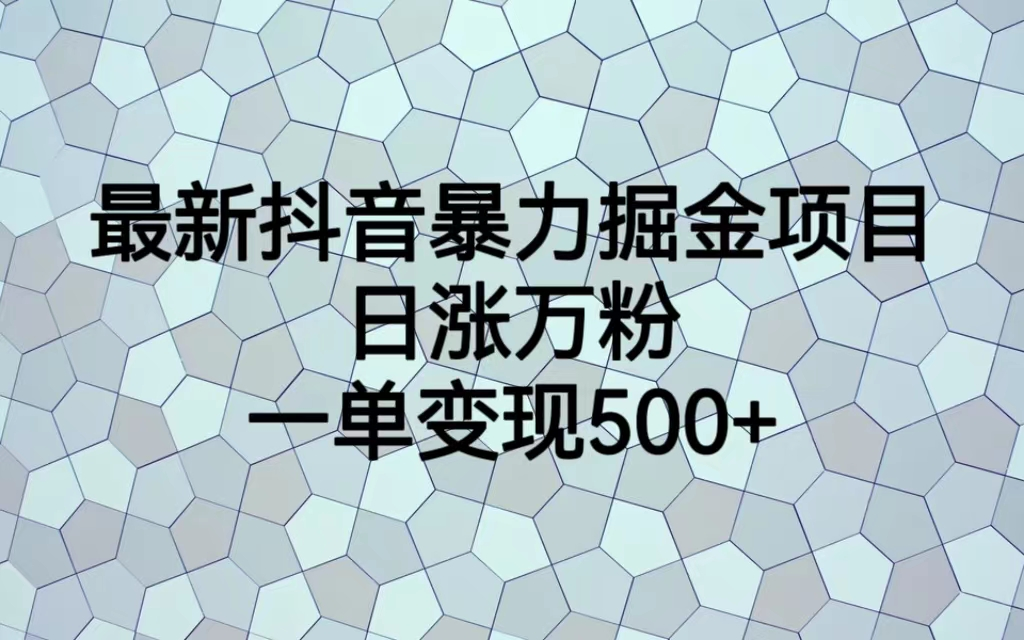 最火热的抖音暴力掘金项目，日涨万粉，多种变现方式，一单变现可达500+-启航188资源站