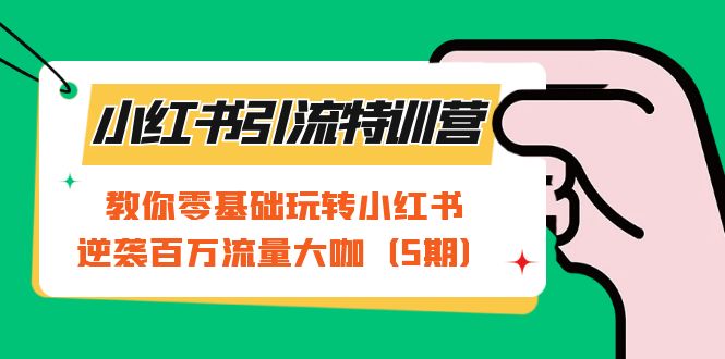 小红书引流特训营-第5期：教你零基础玩转小红书，逆袭百万流量大咖-启航188资源站