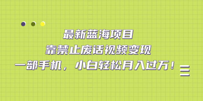 最新蓝海项目，靠禁止废话视频变现，一部手机，小白轻松月入过万！-启航188资源站