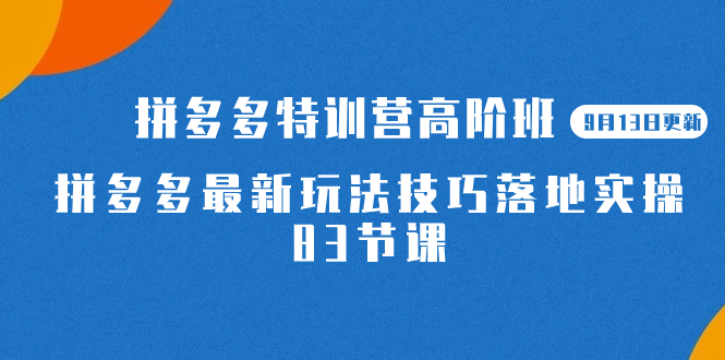 2023拼多多·特训营高阶班【9月19日更新】拼多多最新玩法技巧落地实操-83节-启航188资源站