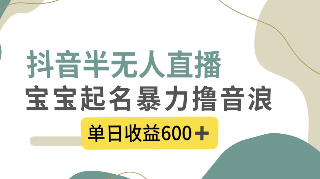 抖音半无人直播，宝宝起名，暴力撸音浪，单日收益600+-启航188资源站