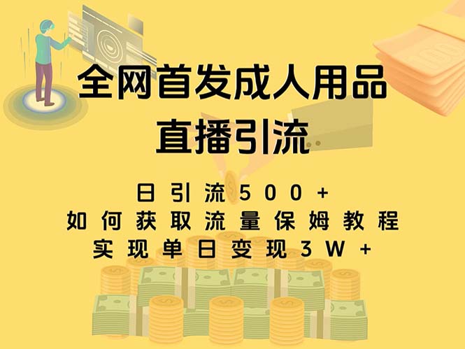 最新全网独创首发，成人用品直播引流获客暴力玩法，单日变现3w保姆级教程-启航188资源站