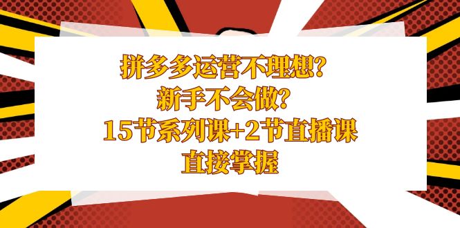 拼多多运营不理想？新手不会做？15节系列课+2节直播课，直接掌握-启航188资源站