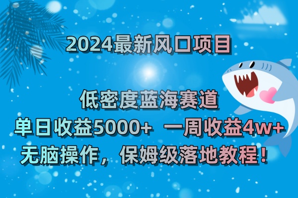 2024最新风口项目 低密度蓝海赛道，日收益5000+周收益4w+ 无脑操作-启航188资源站