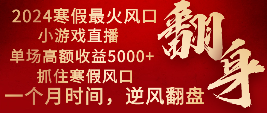 2024年最火寒假风口项目 小游戏直播 单场收益5000+抓住风口 一个月直接提车-启航188资源站