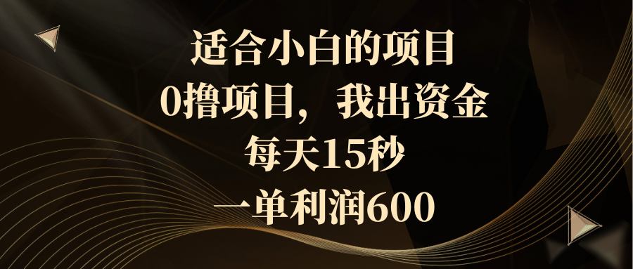 适合小白的项目，0撸项目，我出资金，每天15秒，一单利润600-启航188资源站