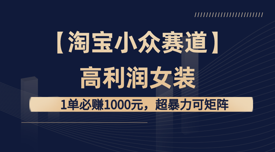 【淘宝小众赛道】高利润女装：1单必赚1000元，超暴力可矩阵-启航188资源站