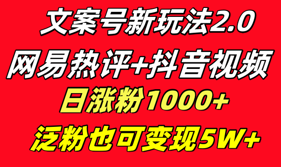 文案号新玩法 网易热评+抖音文案 一天涨粉1000+ 多种变现模式 泛粉也可变现-启航188资源站