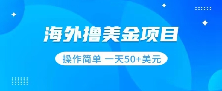 撸美金项目无门槛操作简单小白一天50+美刀-启航188资源站