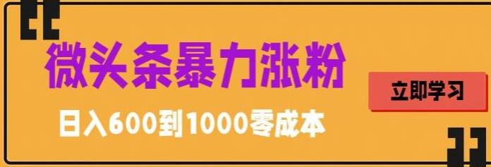 微头条暴力涨粉技巧搬运文案就能涨几万粉丝，简单0成本，日赚600【揭秘】-启航188资源站