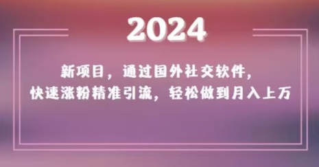 2024新项目，通过国外社交软件，快速涨粉精准引流，轻松做到月入上万【揭秘】-启航188资源站