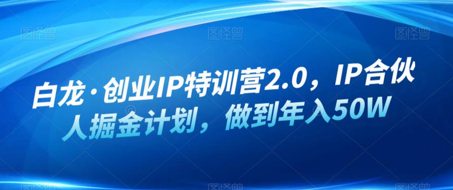 白龙·创业IP特训营2.0，IP合伙人掘金计划，做到年入50W-启航188资源站