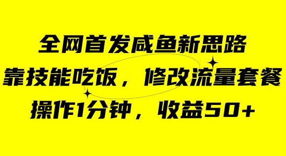 咸鱼冷门新玩法，靠“技能吃饭”，修改流量套餐，操作1分钟，收益50【揭秘】-启航188资源站