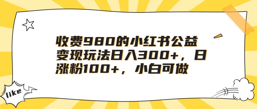 收费980的小红书公益变现玩法日入300+，日涨粉100+，小白可做-启航188资源站