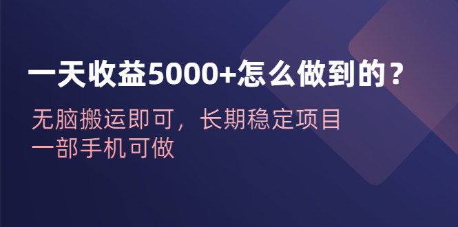 （6435期）一天收益5000+怎么做到的？无脑搬运即可，长期稳定项目，一部手机可做-启航188资源站