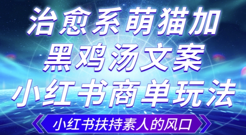 治愈系萌猫加+黑鸡汤文案，小红书商单玩法，3~10天涨到1000粉，一单200左右-启航188资源站