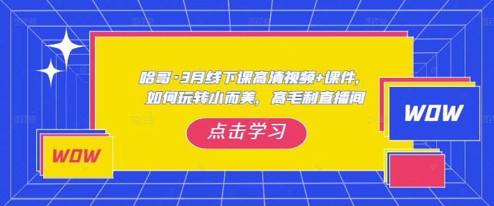 哈哥·3月线下实操课高清视频+课件，如何玩转小而美，高毛利直播间-启航188资源站