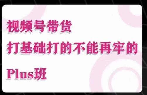 大播汇·视频号带货Puls班，视频号底层逻辑，起号自然流鱼塘等玩法-启航188资源站