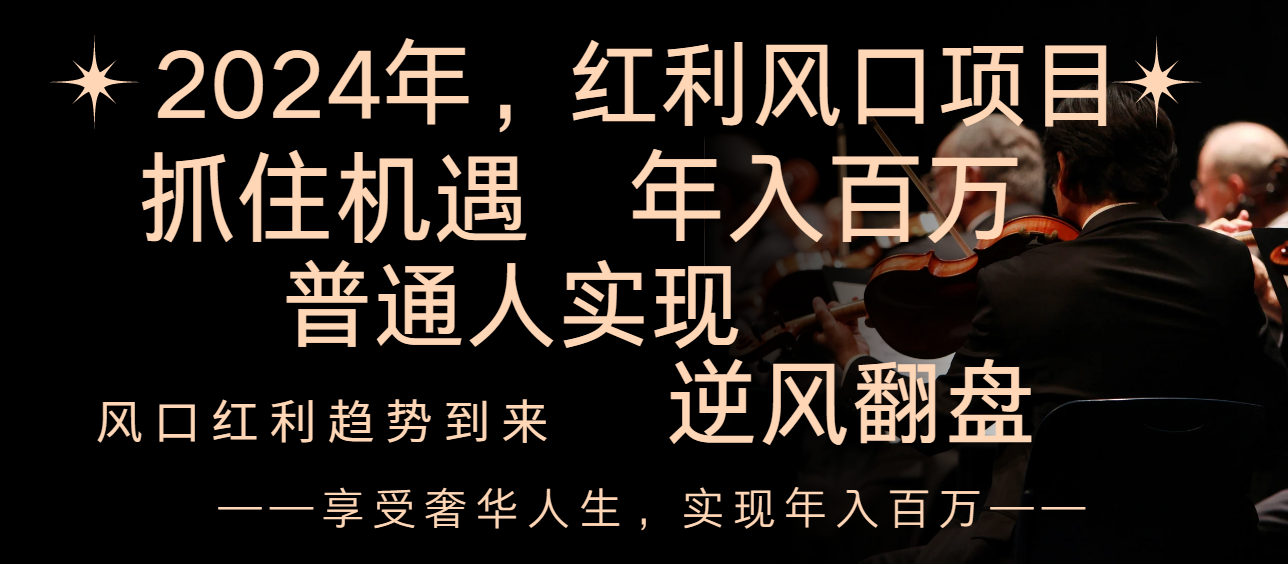 （8418期）2024红利风口项目来袭，享受第一波红利，逆风翻盘普通人也能实现，年入百万-启航188资源站