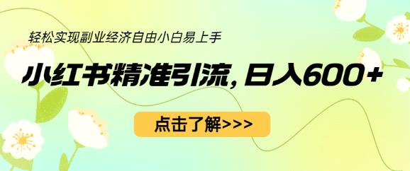 小红书精准引流，小白日入600+，轻松实现副业经济自由（教程+1153G资源）-启航188资源站