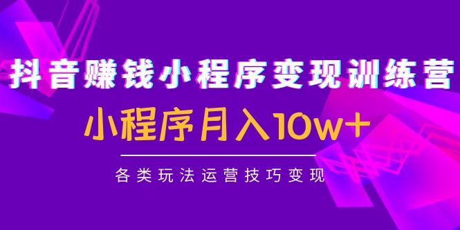 （4511期）抖音赚钱小程序变现训练营：小程序月入10w+各类玩法运营技巧变现-启航188资源站