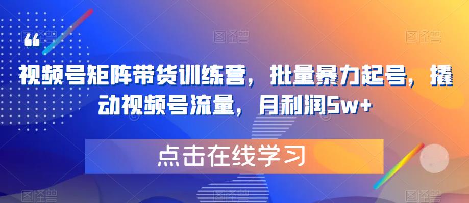 视频号矩阵带货训练营，批量暴力起号，撬动视频号流量，月利润5w+-启航188资源站