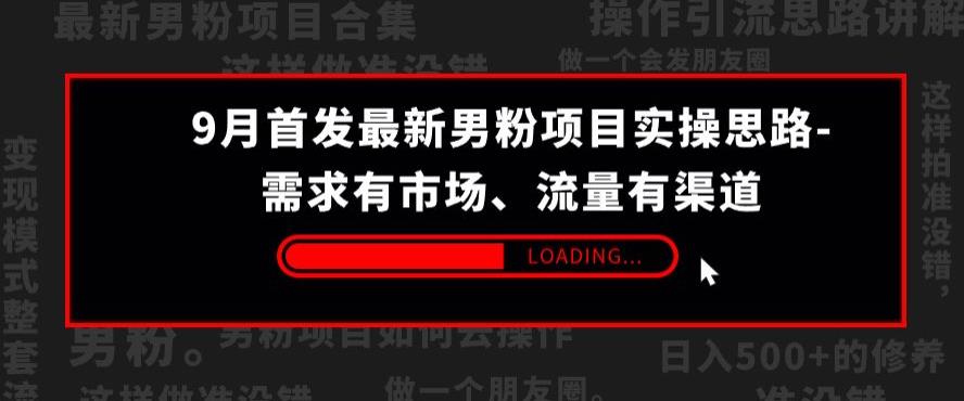 9月首发最新男粉项目实操思路-需求有市场，流量有渠道【揭秘】-启航188资源站