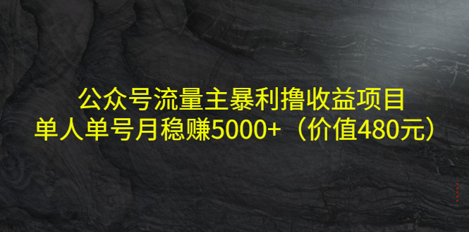 公众号流量主暴利撸收益项目，单人单号月稳赚5000+（价值480元）-启航188资源站