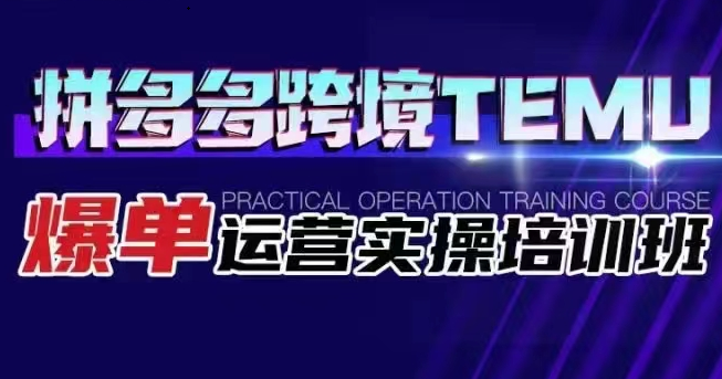 拼多多跨境TEMU爆单运营实操培训班 海外拼多多的选品、运营、爆单-启航188资源站