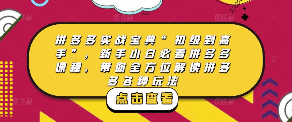 拼多多实战宝典“初级到高手”，新手小白必看拼多多课程，带你全方位解读拼多多各种玩法-启航188资源站