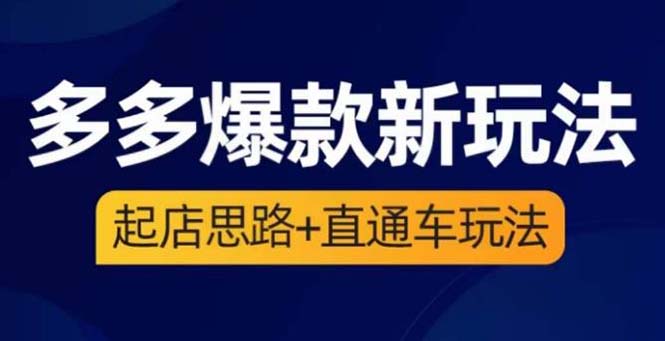 （6028期）2023拼多多爆款·新玩法：起店思路+直通车玩法（3节精华课）-启航188资源站